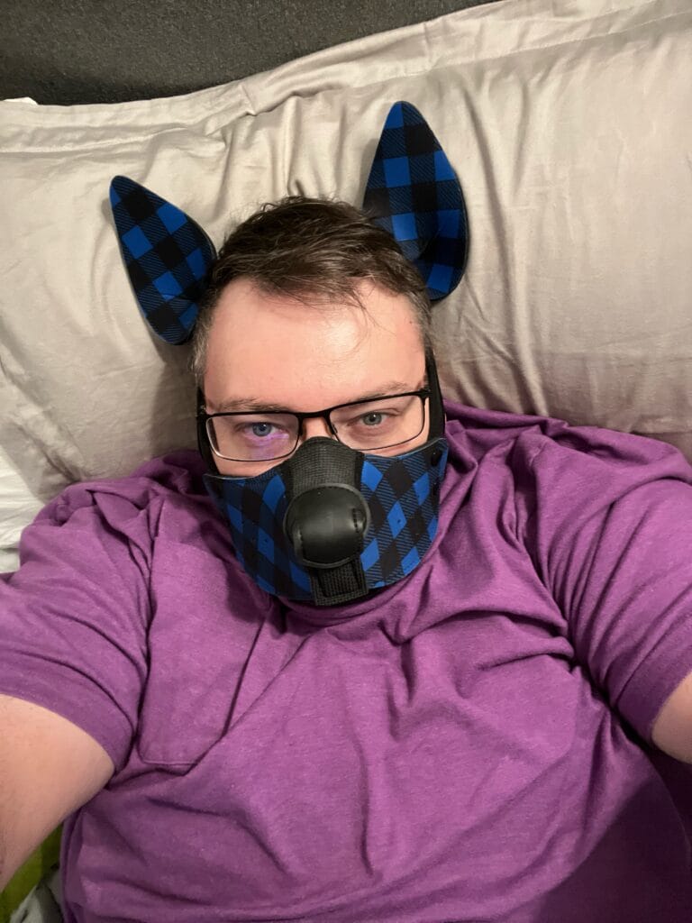 Puppy Laying Down 2